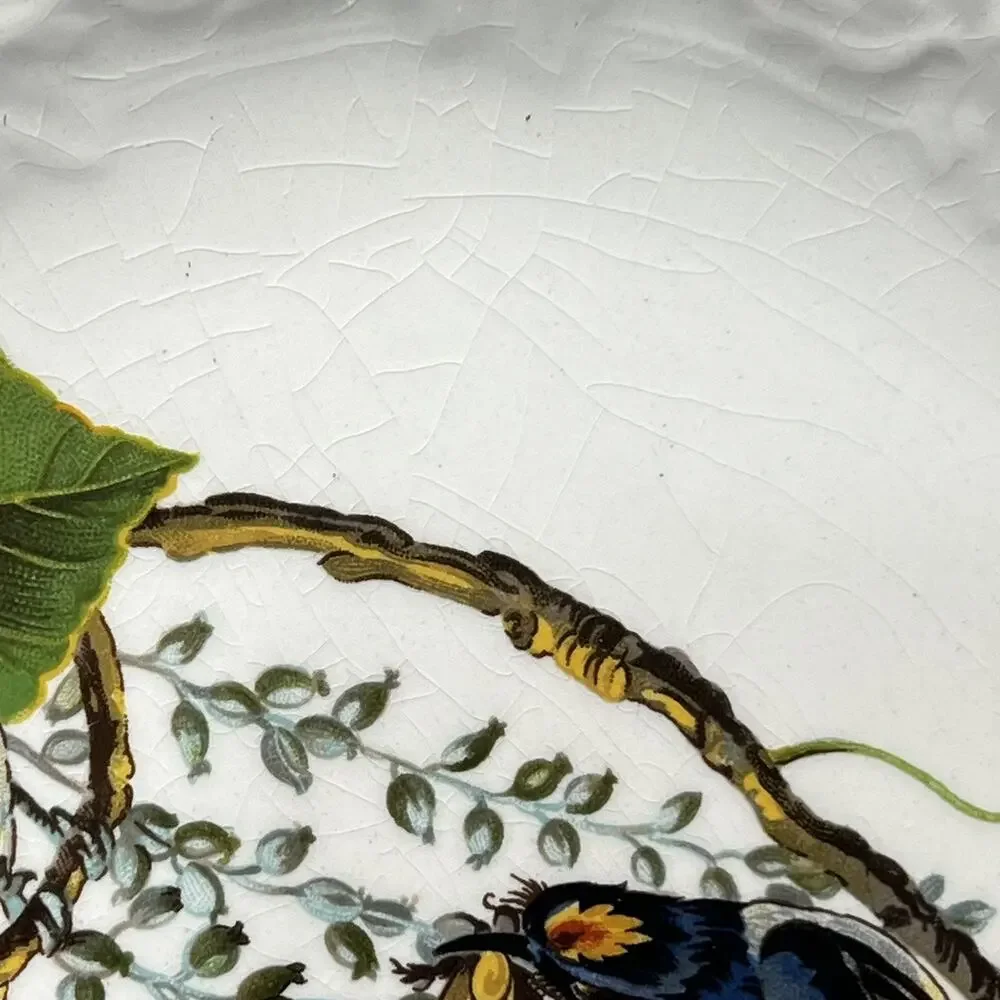 Alfred Meakin‎ Birds of America Plate - Kingbird #79 National Audubon Society